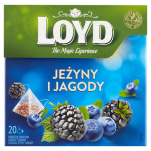 Loyd Herbatka owocowa aromatyzowana o smaku jeżyny i jagody 40 g (20 x 2 g)