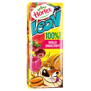 Hortex Leon Sok 100% wieloowocowy 200 ml
