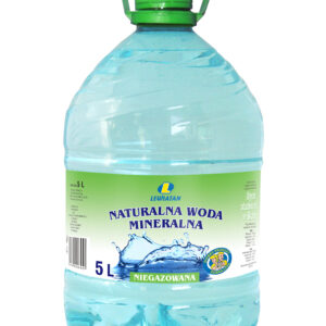Woda niegazowana 5 l Lewiatan